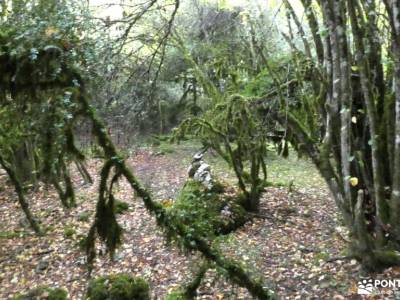 Valle Sakana-Sierras Navarra; cala reona bosque de orgi parque natural de las dunas de liencres viaj